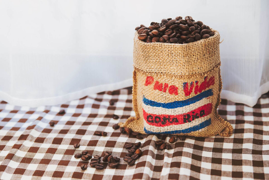 Your Guide To Understanding the Costa Rica Coffee Flavor Profile